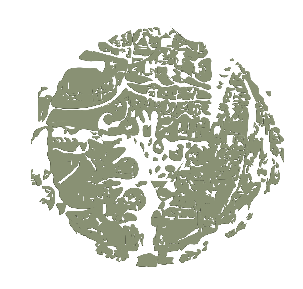 squiggly abstract map design